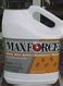 maxforce fire ant bait
